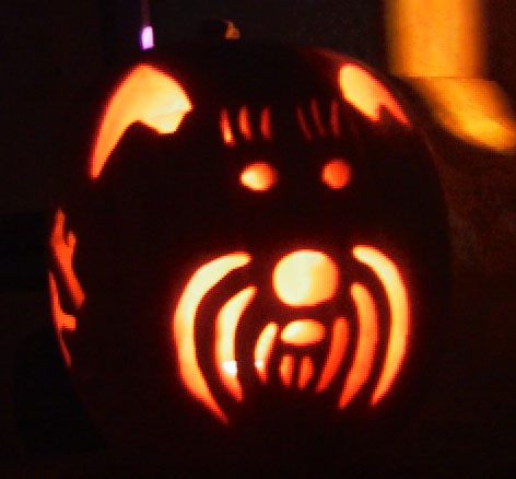 schnauzer pumpkin