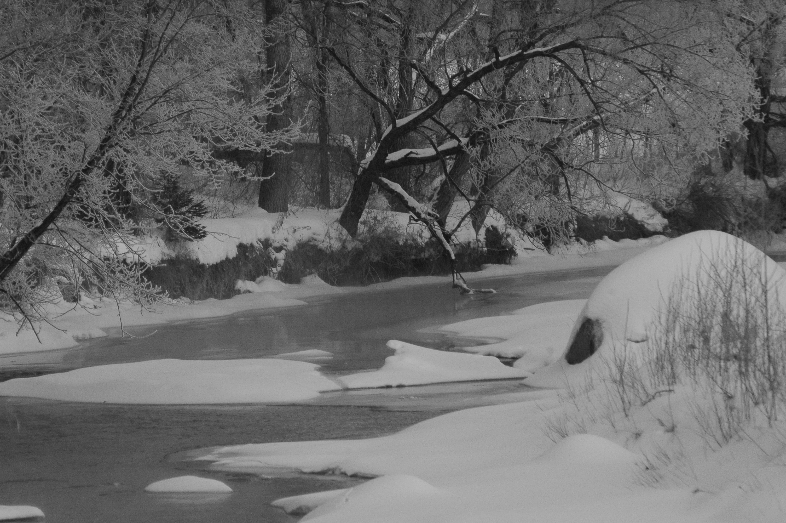 Winter Stream | Pics4Learning