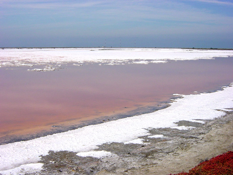 The water has high salinity and is colored red by brine shrimps 